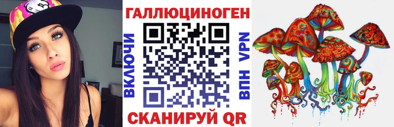 Купить где  Исилькуль  Псилоцибиновые грибы Psilocybine cubensis 